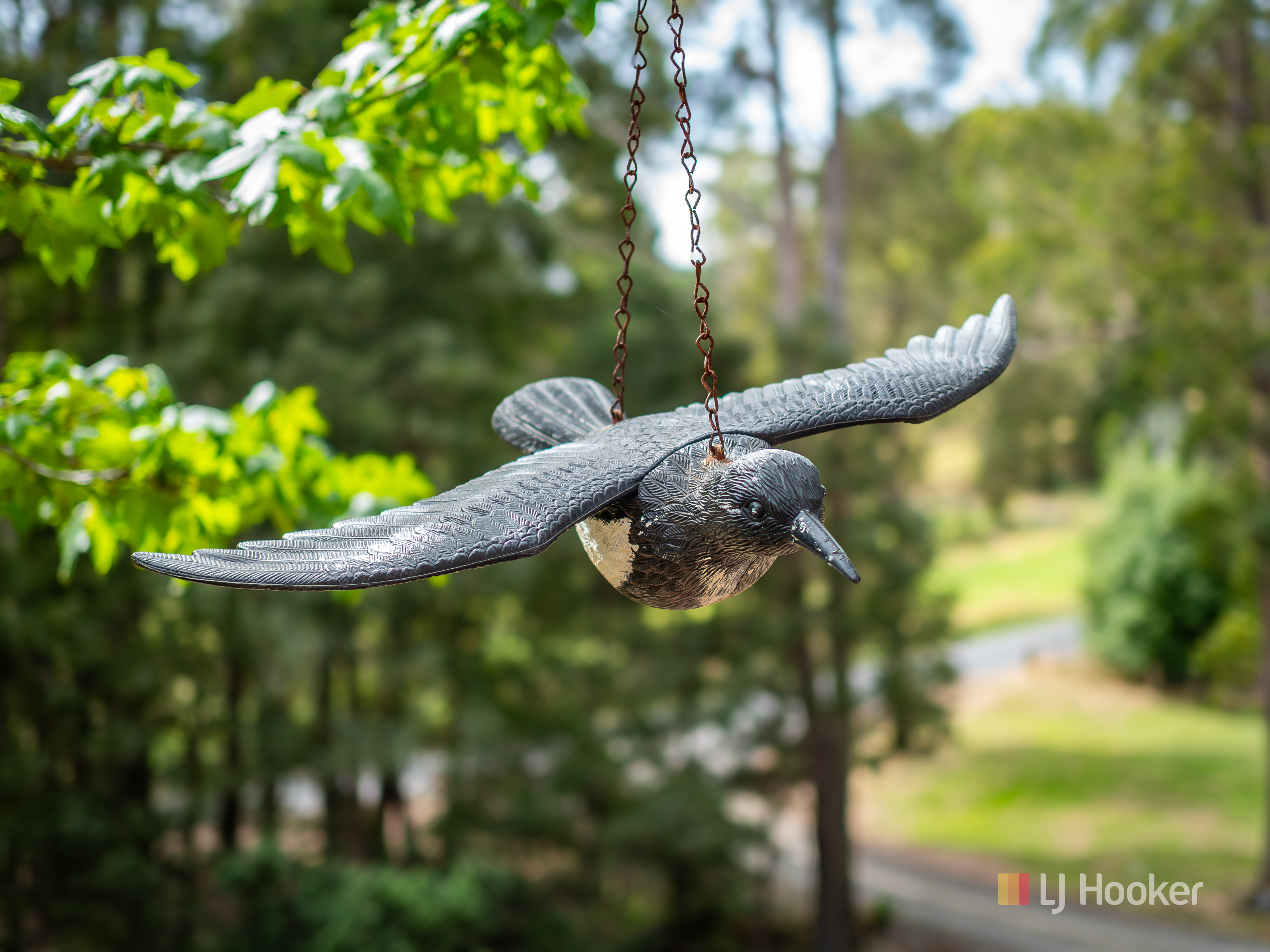 hanging bird