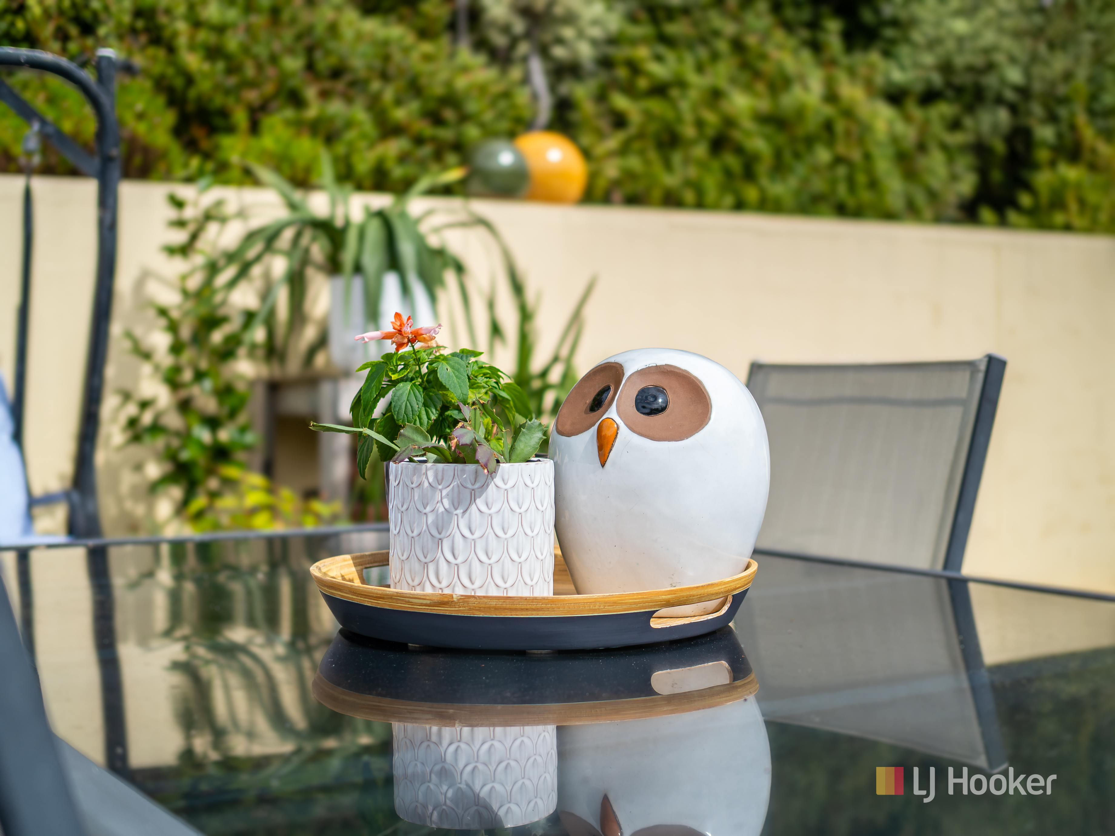 owl and pot
